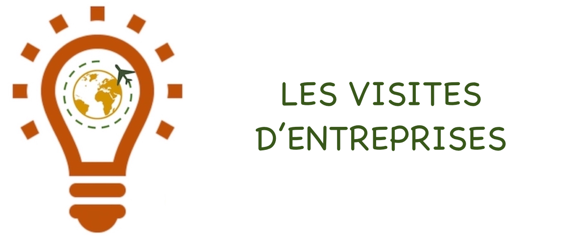 Sans titre